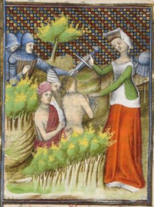 Cy sensuit histoire de buse canusine feme apuliene