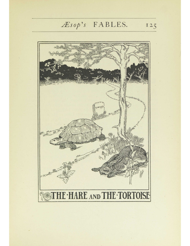 The Hare And The Tortoise
