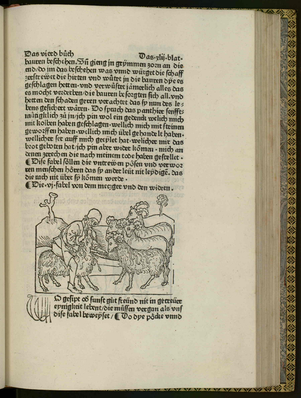 [Sheep Shearing]