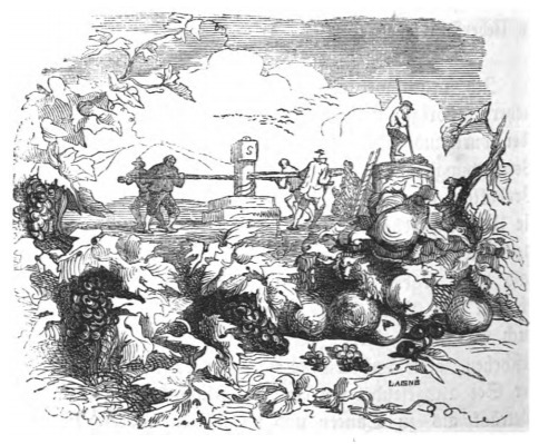 [Winemaking in Europe]