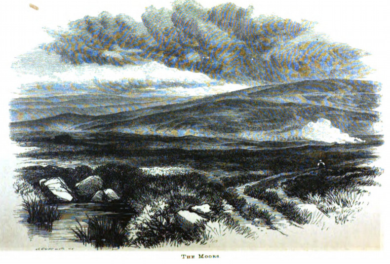The Moors