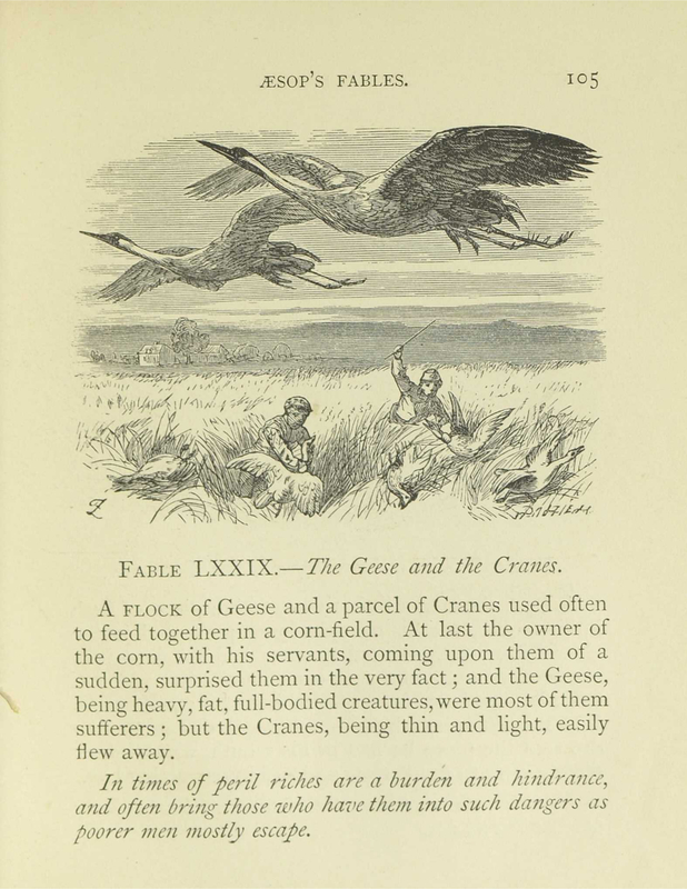 The Geese and the Cranes