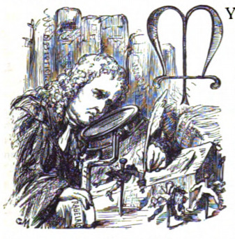 [Gulliver studies Lilliputian specimen]