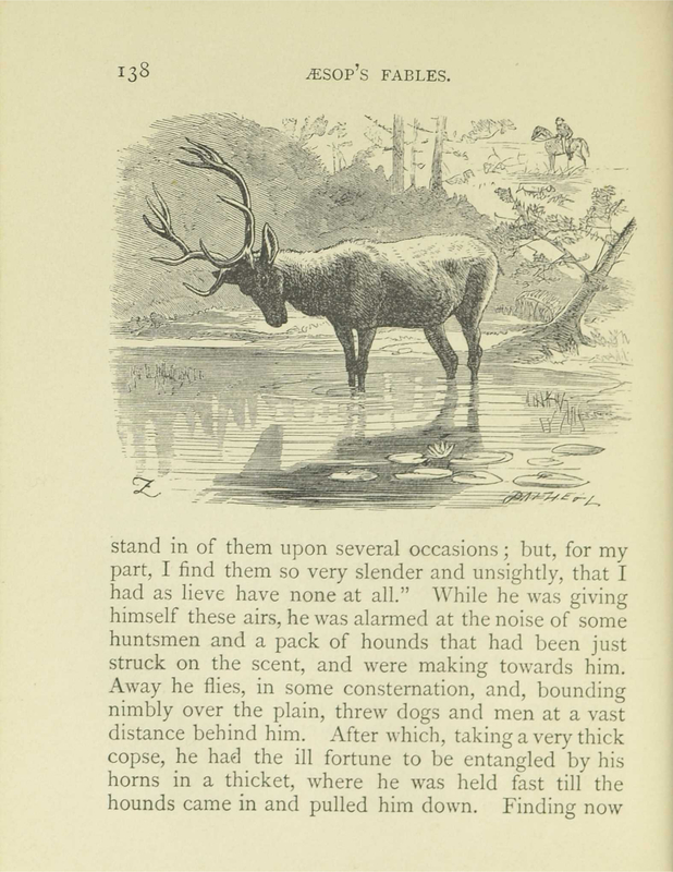 The Stag looking into the Water