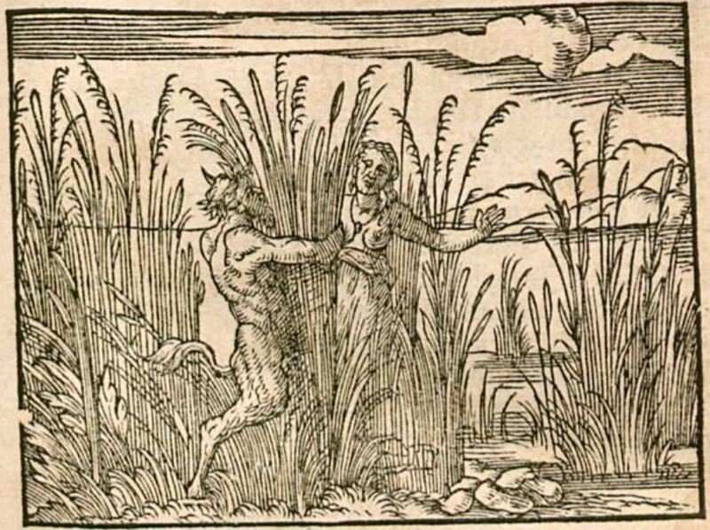 Syrinx in ein Rohr