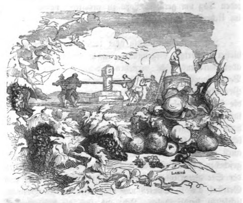 [Winemaking in Europe]