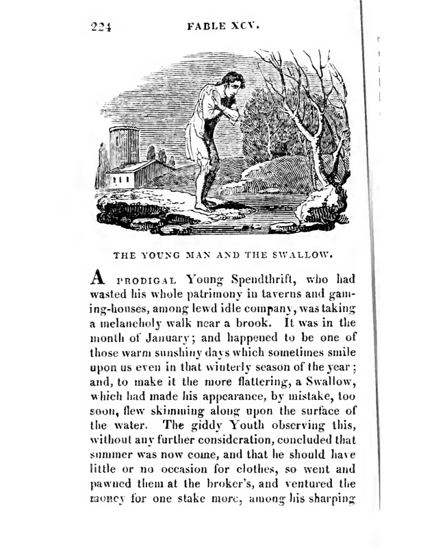The Young Man and the Swallow