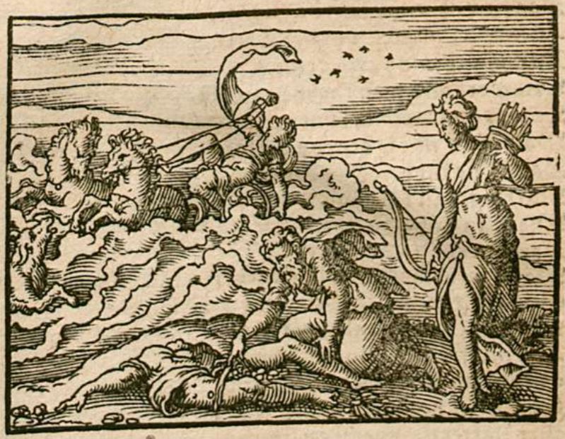Hippolytus wirt von rossen zeriffen