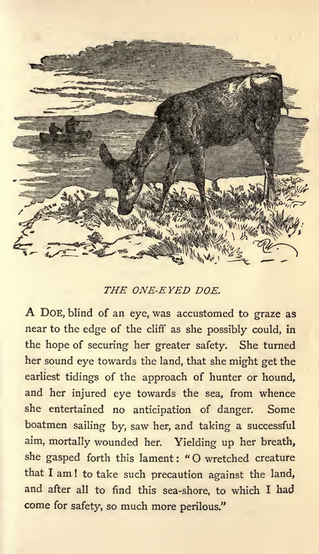 THE ONE EYED DOE