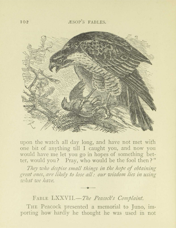 The Hawk and the Nightingale