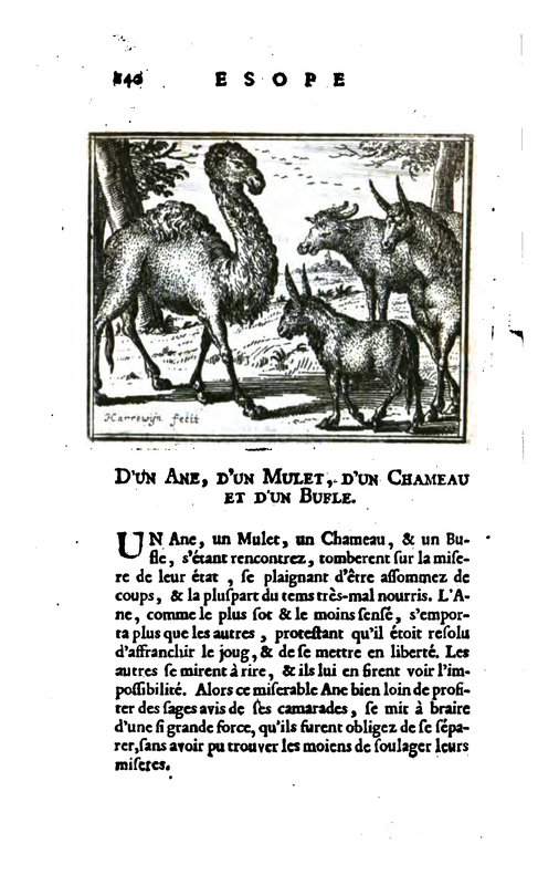 D'un Ane, D'un Mulet, D'un Chameau At D'un Bufle