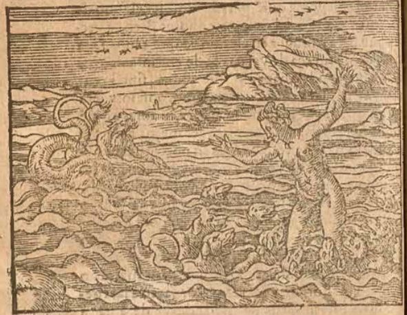 Scylla mudada en peligro de mar