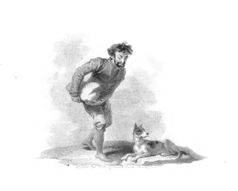 [The Madman of Cordova Approaches a Spaniel]