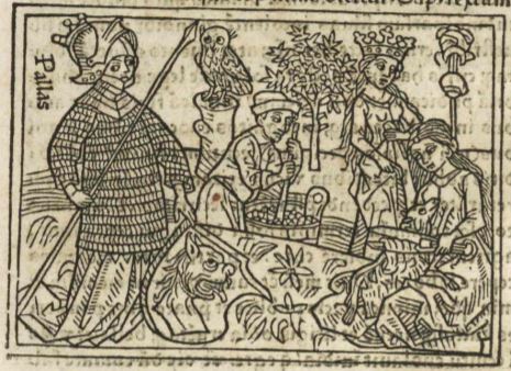 Minerva que et pallas dicitar
