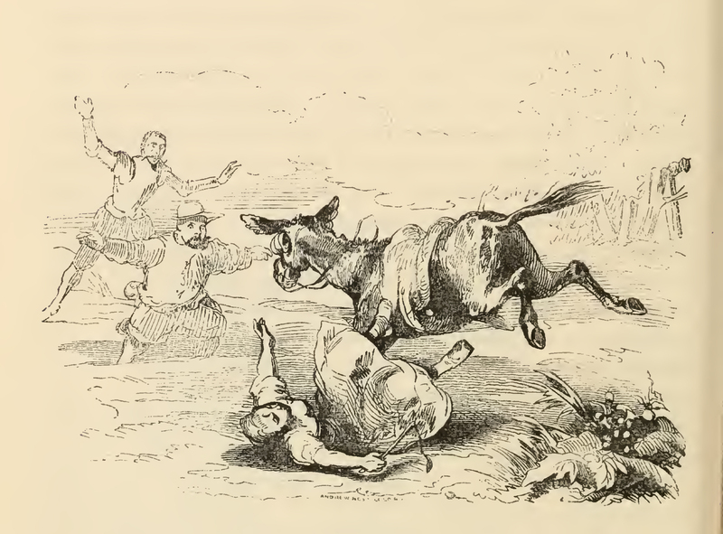 [The Country Girl who Don Quixote Imagines to be Enchanted Dulcinea Del Toboso Falls from her Donkey]