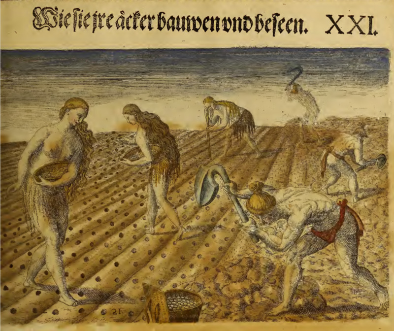 Wie sie ire äcker baumen und beseen. XXI.