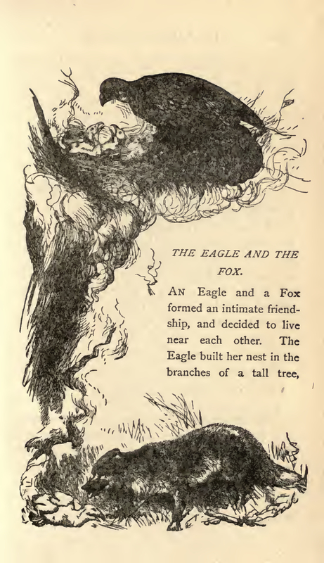 The Eagle And The Fox