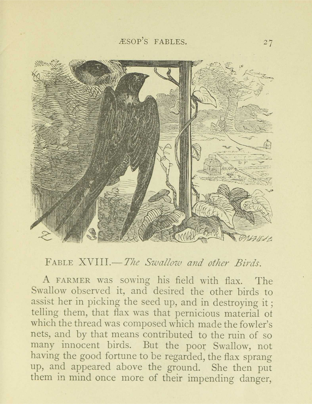 The Swallow and The Other Birds