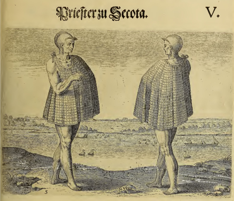 Priester zu Secota. V.