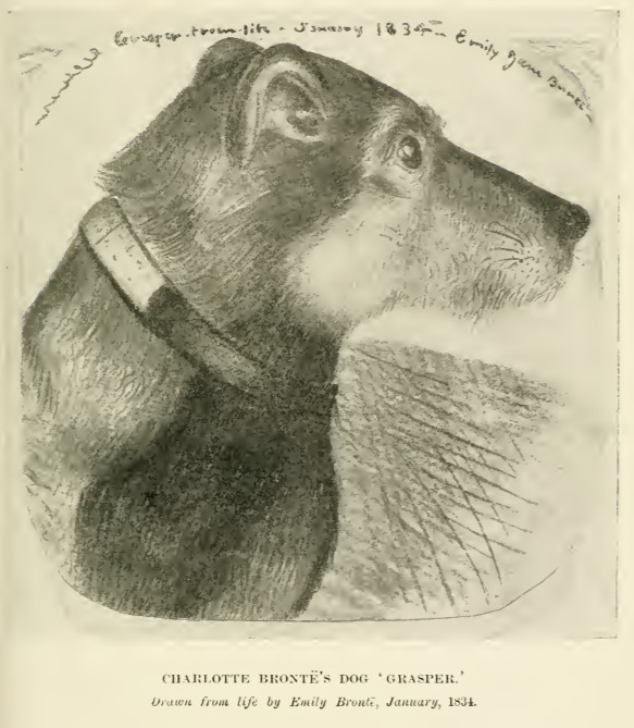Charlotte Bronte’s dog ‘Grasper.’ Drawn from life by Emily Bronte, January 1834.