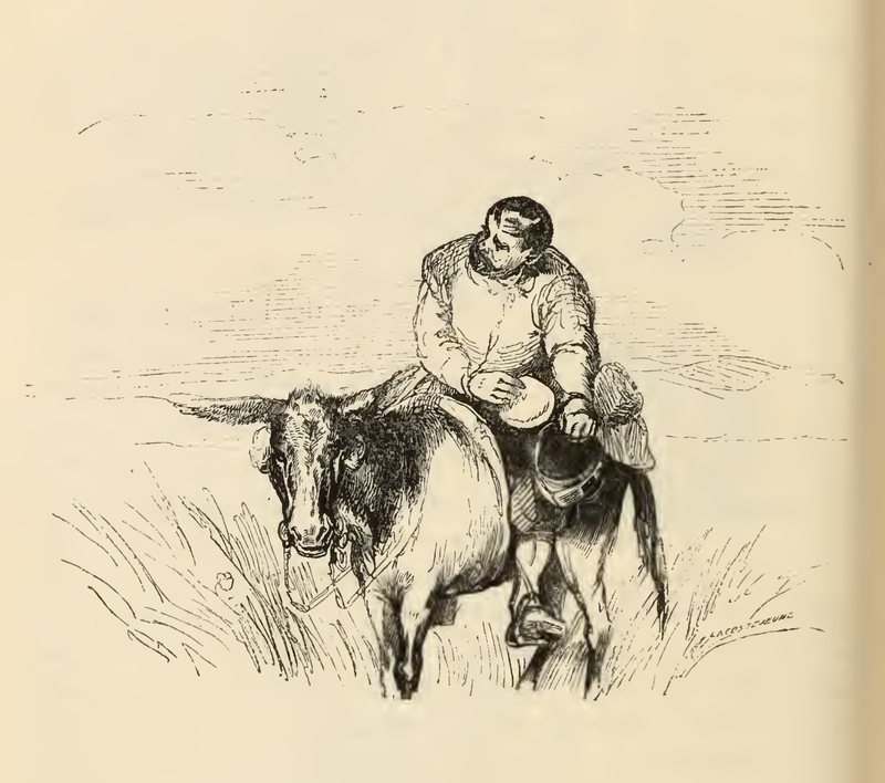 [Of How Sancho Was Forced to Give Quixote's Helmet While Curds Remained]