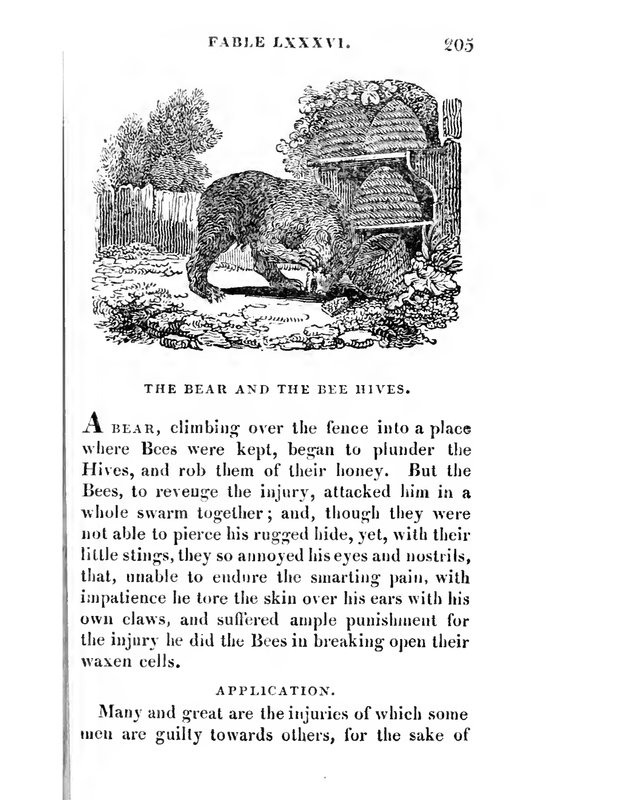 The Bear and the Bee Hives