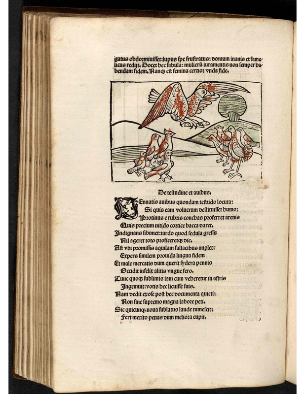 Be teftufdine et auibus.