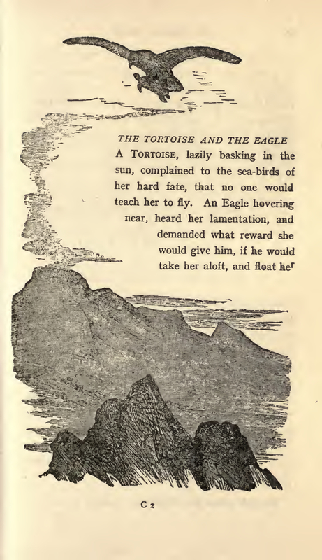 The Tortoise and the Eagle
