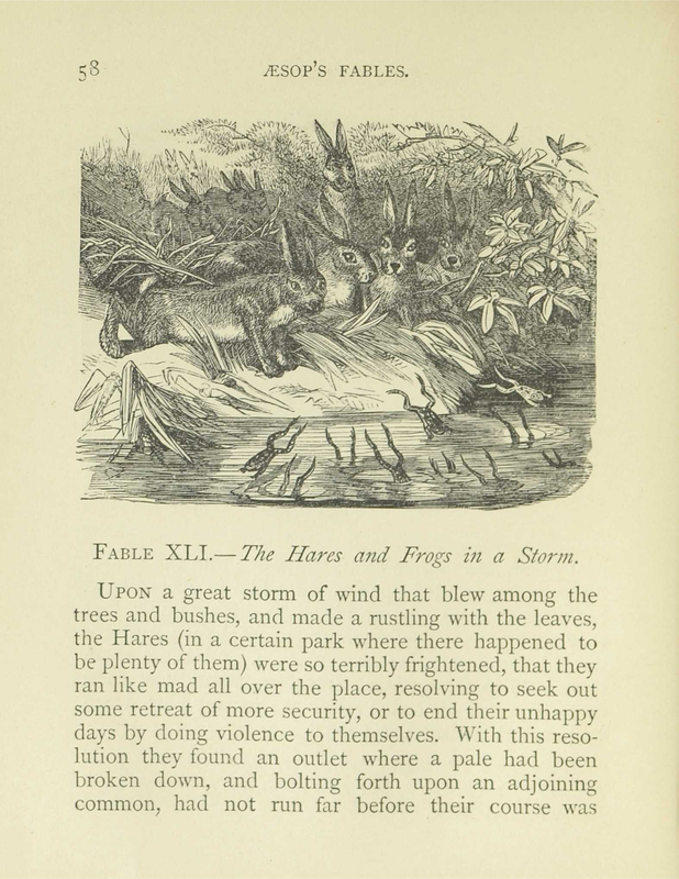 The Hares and Frogs in a Storm