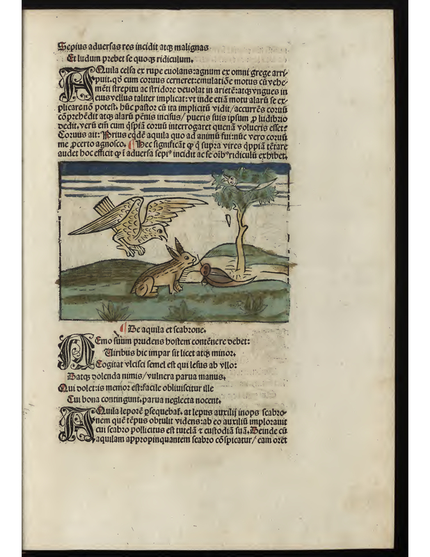 Der Adler und die Hornisse