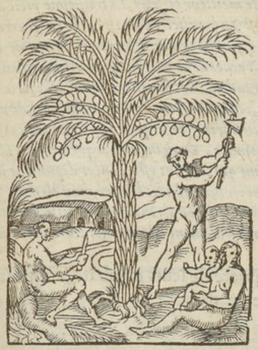 [An Indigenous Brazilian man chops down a tree]