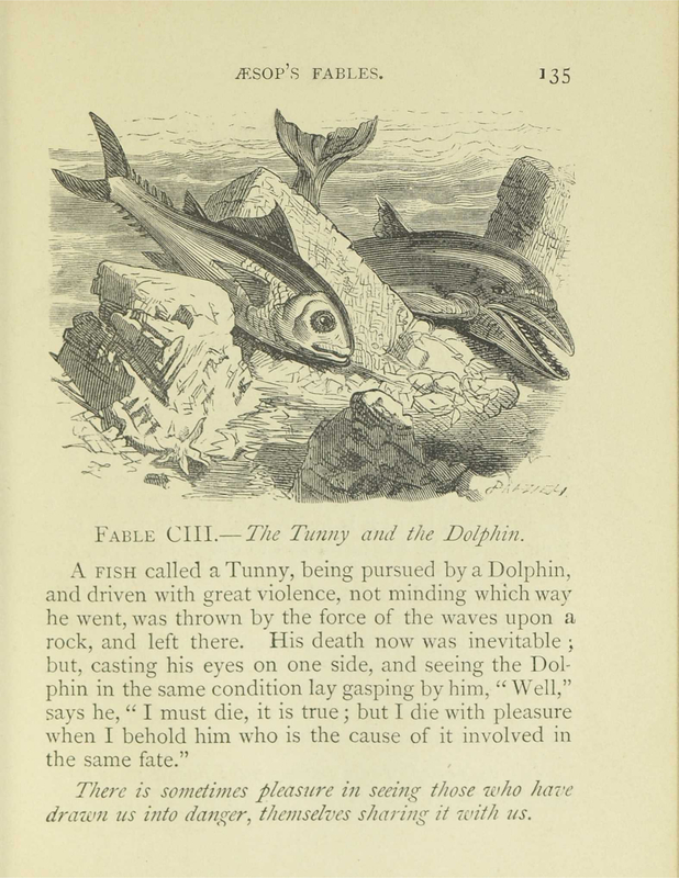 The Tunny and the Dolphin