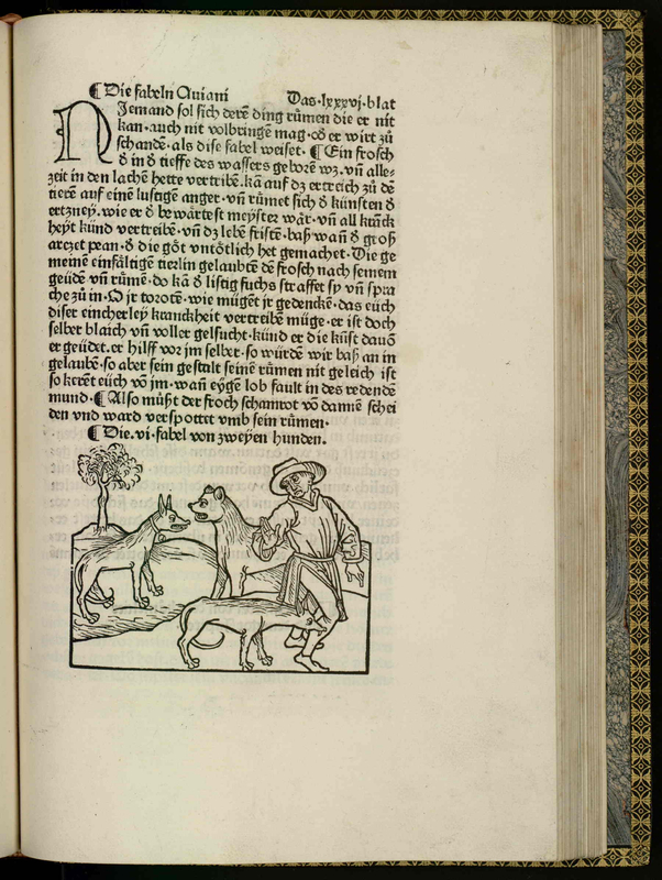 [Animal Attacks Person]