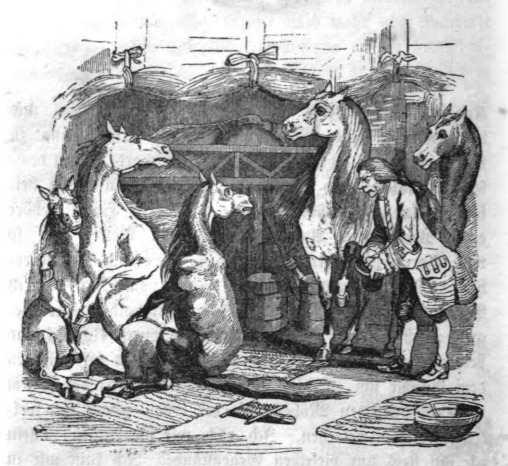 [Gulliver is introduced to the Houyhnhnms]