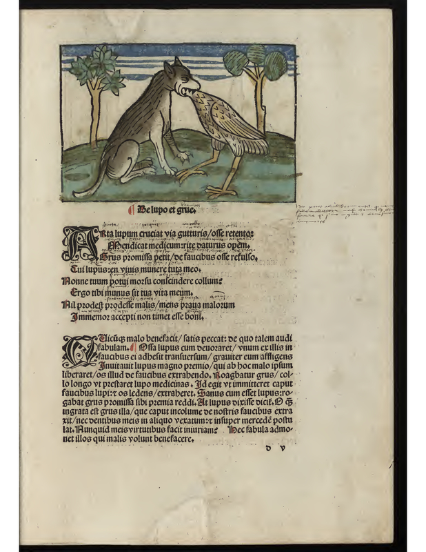 De lupo et grue.