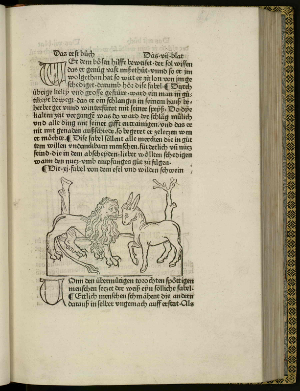 [Lion and a Donkey]