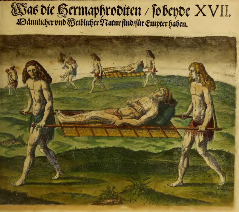 Was die Hermaphroditen, so beyde Männlicher und Weiblicher Naturen sind, für Empter haben. XVII.