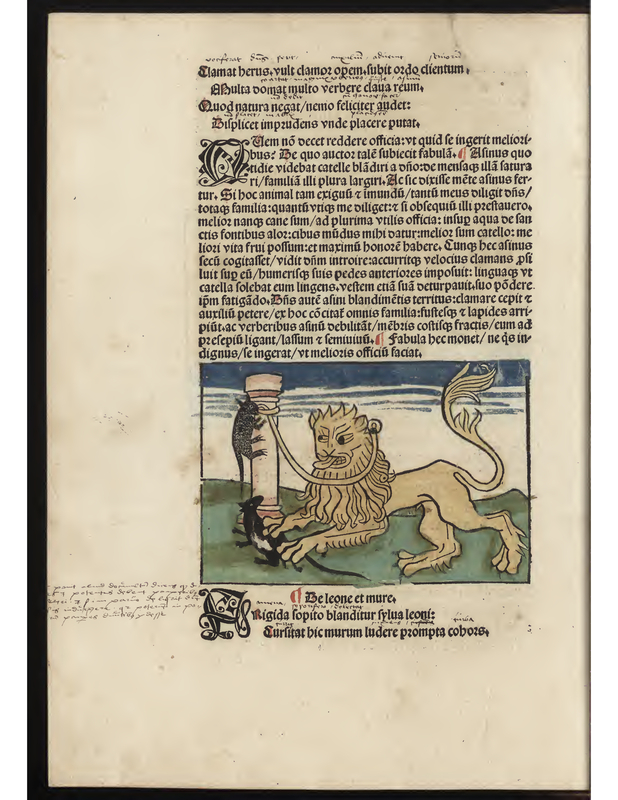 De leone et mure.