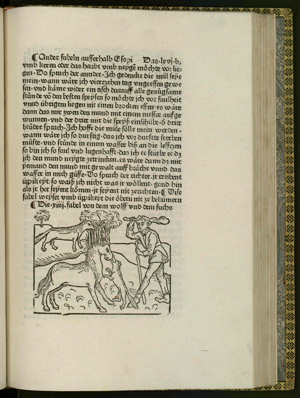 Fight Between Horse and Wolf