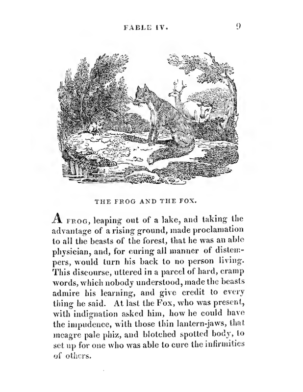 The Frog and The Fox