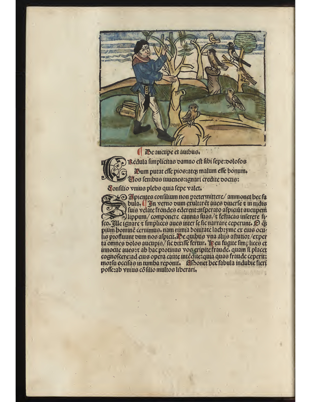 Le aucupe et aubus