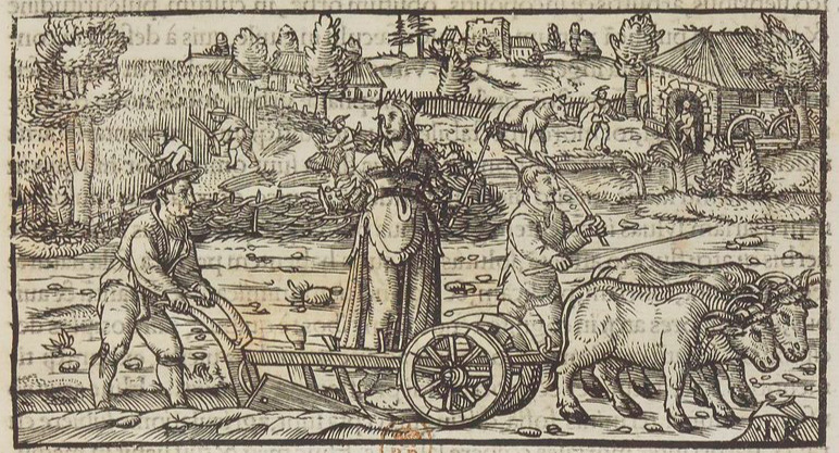De Cerere Dea Frvgvm Et Sicvlorum Regina