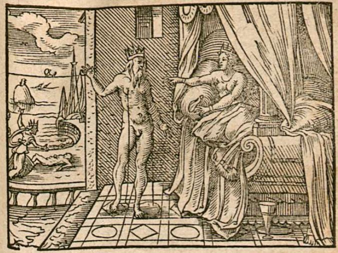 Ceyx und Halcyone in Vögel