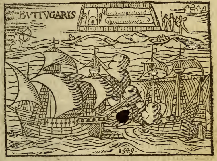 [Conflict between two European ships near the coast of Brazil]