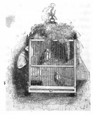 [Canaries on Brobdingnag]