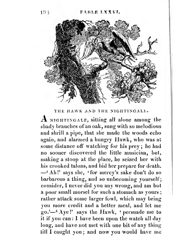 The Hawk and The Nightingale