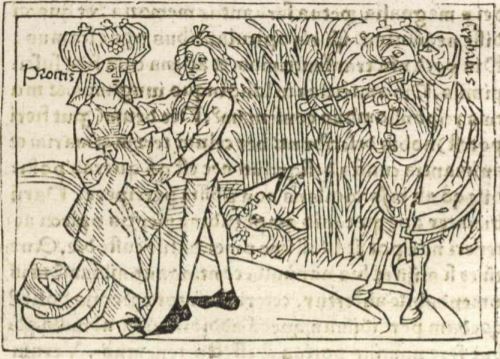 De Procris Cephali coniuge