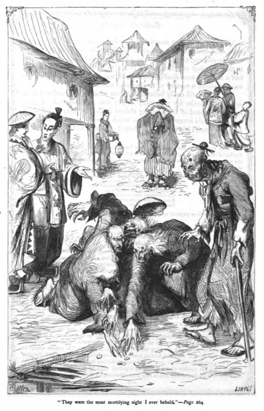 They were the most mortifying sight I ever beheld. - Page 264
