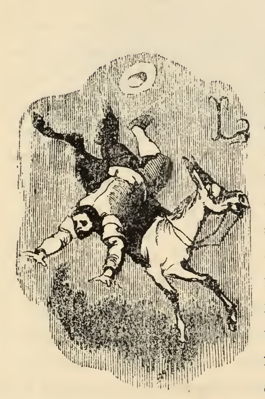 [Sancho Panza and Dapple Fall into a Deep Pit]