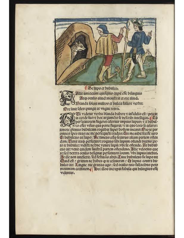 Le lupo et bubulco
